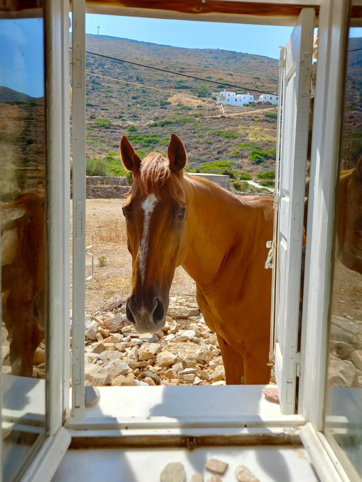The Artists House - Atelier Suite Agia Theodoti Exterior photo
